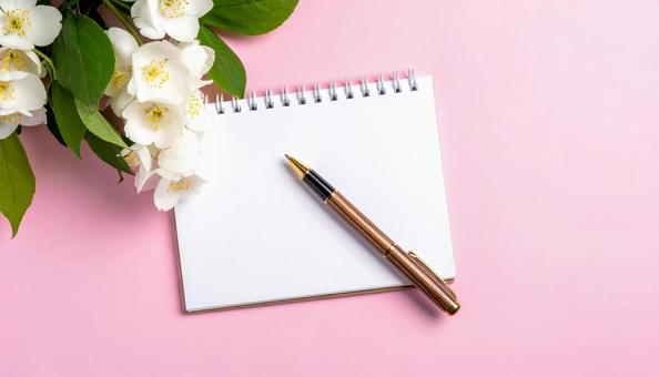 新しいノートとボールペン 新しいノートとボールペンの写真