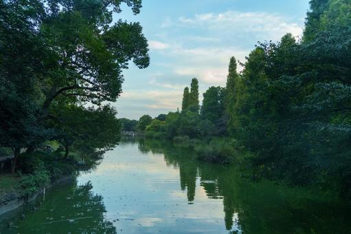 夕方の井の頭公園 夕方の井の頭公園の写真