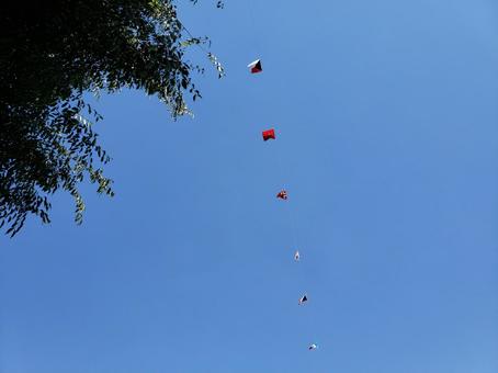 青空に万国旗 青空に万国旗 空,青空,運動会の写真素材