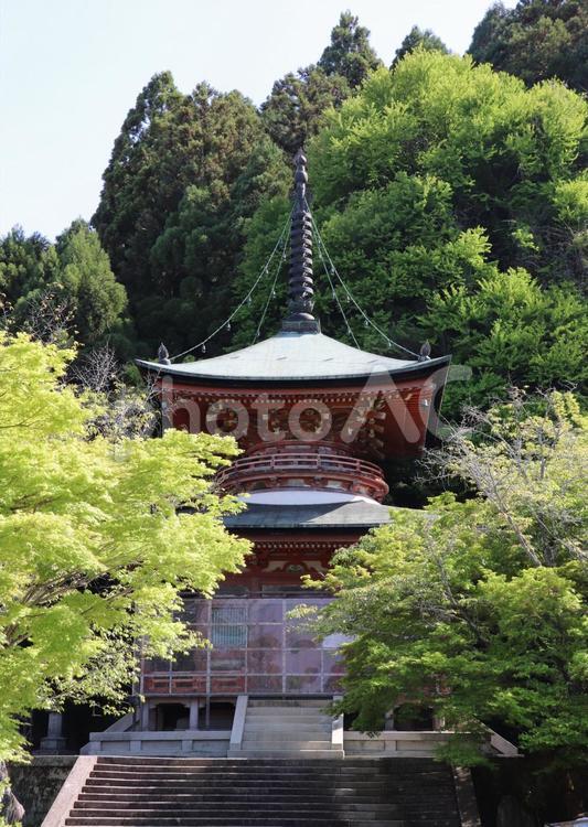 虚空蔵法輪寺　多宝塔 法輪寺,多宝塔,智福山の写真素材