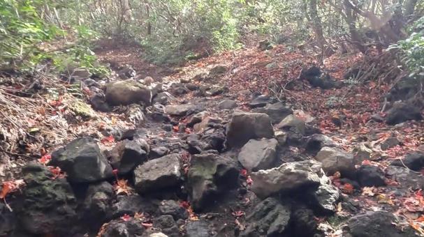 秋の山 秋の山の写真