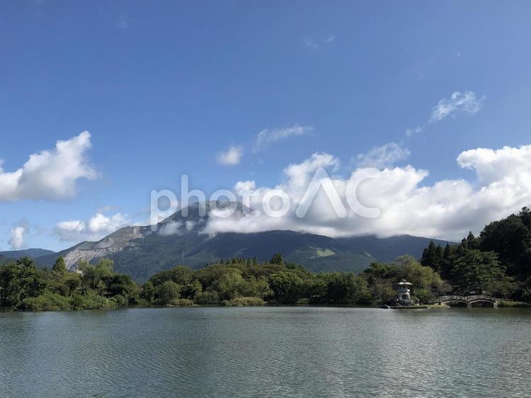 青空の下、滋賀県三島池のほとり 滋賀,三島池,池の写真素材