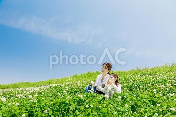 土手に座る家族（シロツメクサ） 人物,家族,女性の写真素材