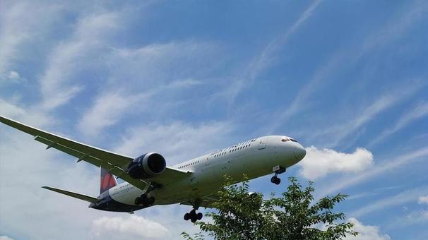 飛行機 飛行機の写真