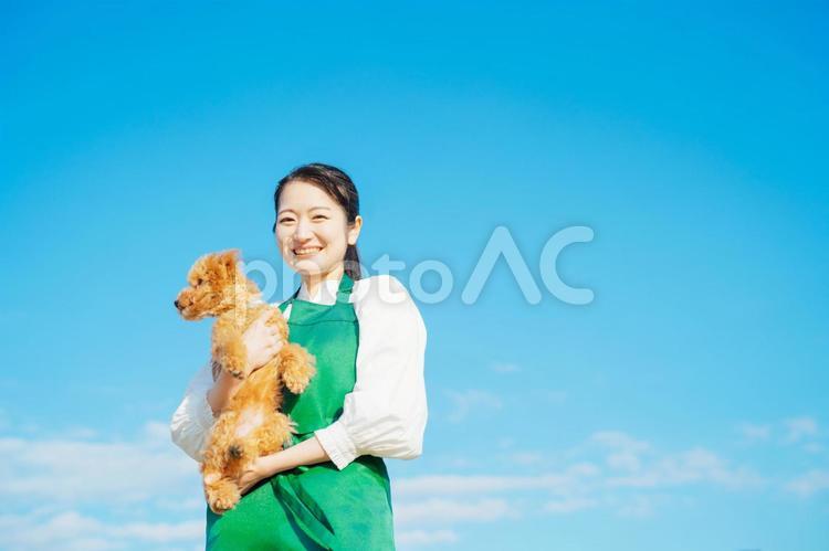 愛犬と遊ぶ女性（カメラ目線） 犬,ペット,動物の写真素材