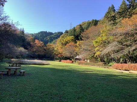 秋川渓谷 秋川渓谷 秋川渓谷,渓谷,秋の写真素材