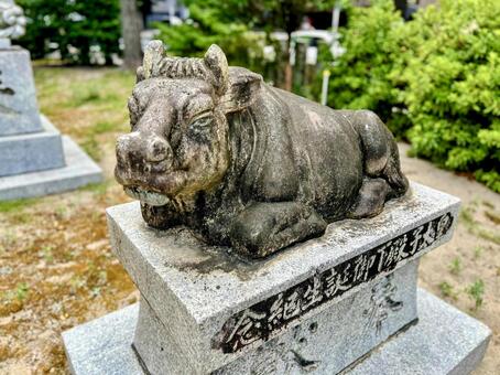 地禄神社 地禄神社,神社,パワースポットの写真素材