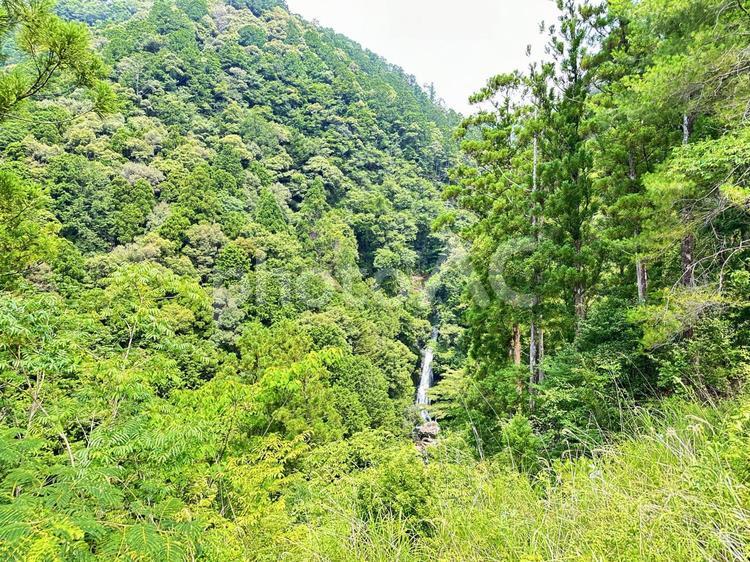 北山村　飛地　なべわりの滝 山,風景,里山の写真素材