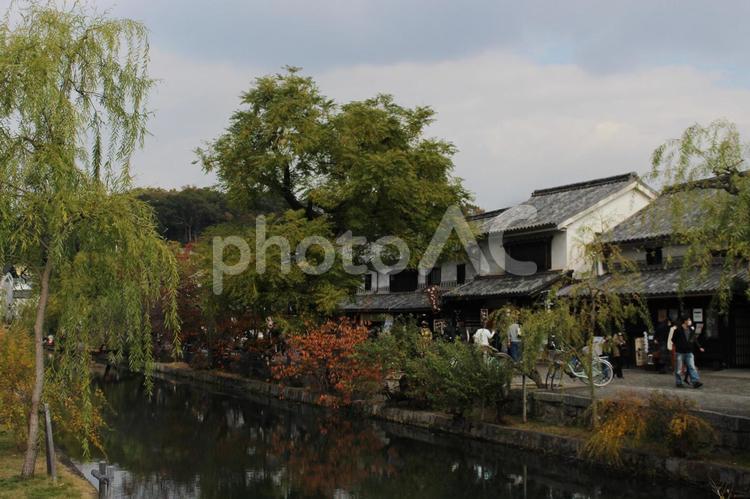 美観地区の風景　自然 美観地区,風景,自然の写真素材