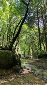 小川 小川の写真
