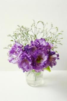 花瓶に生けたトルコキキョウの花 花瓶に生けたトルコキキョウの花 トルコキキョウ,花,植物の写真素材