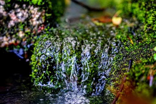 流れうる川の写真