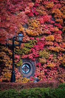 北海道　札幌ファクトリーの秋の風景 北海道,札幌,札幌市の写真素材