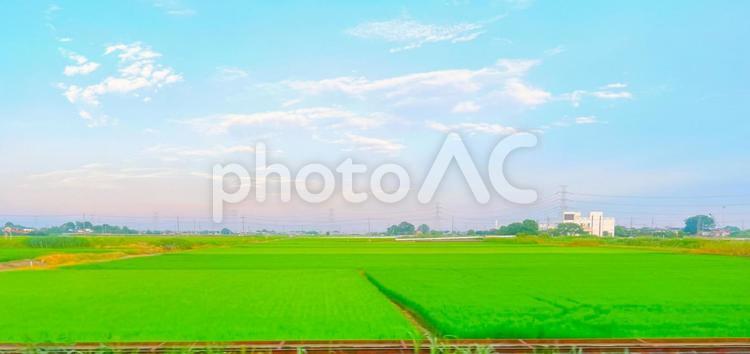 幻想的な田園風景 田んぼ,田園,風景の写真素材