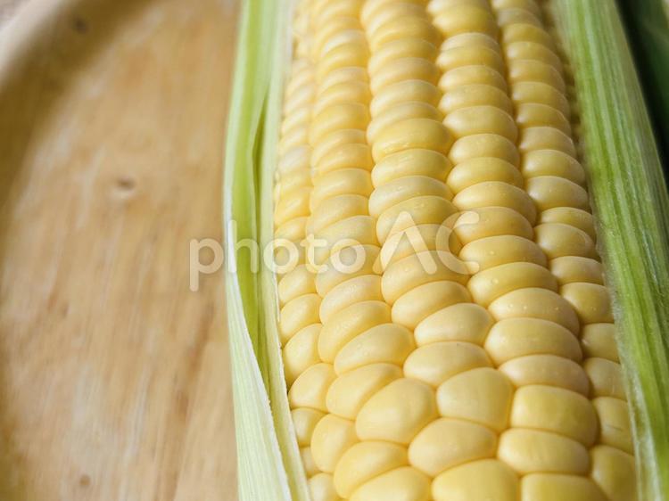 とうもろこし とうもろこし,野菜,皮付きの写真素材