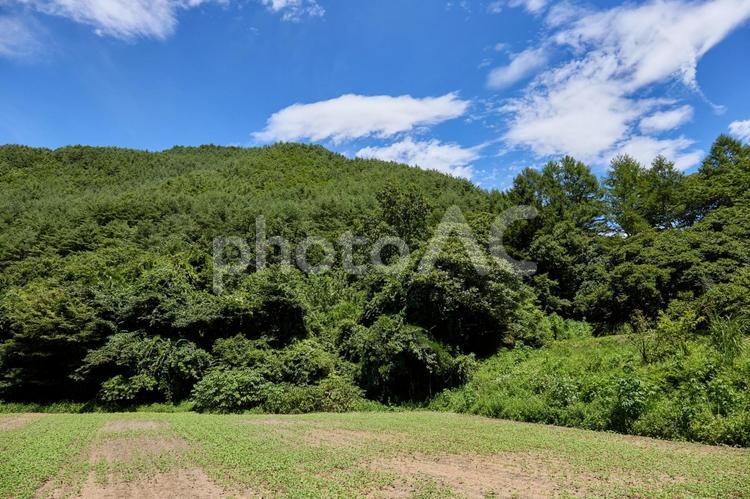 夏の里山と畑 夏,里山,畑の写真素材