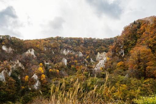 白岩の秋⑹ 秋,黄葉,日差しの写真素材