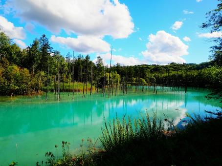 青い池2 青い池2 自然,青い池,空の写真素材