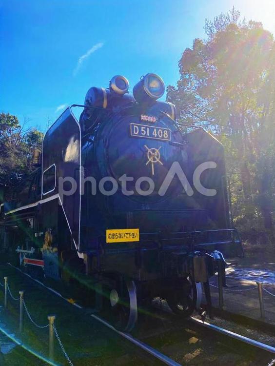 生田緑地のデゴイチ（機関車）SL 生田緑地,デゴイチ,機関車の写真素材