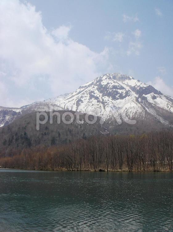 大正池、上高地、信州、長野 大正池,上高地,信州の写真素材