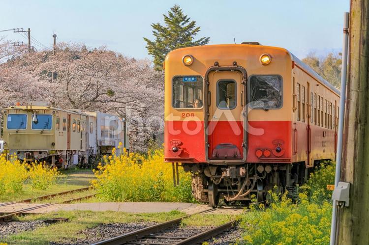 小湊鐵道 小湊鐵道,ローカル駅,レールの写真素材