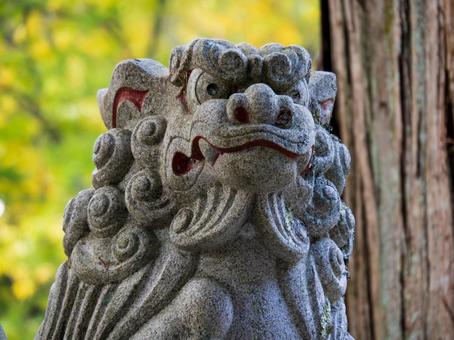 戸隠神社の狛犬 長野,戸隠,狛犬の写真素材