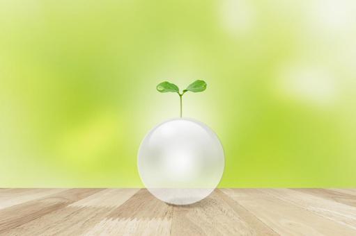 Ecology green leaves are sustainable, JPG Ecology green leaves are sustainable, eco, sdgs, renewable energy, JPG