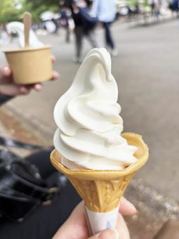 Photo, soft cream, cold, frozen dessert, 