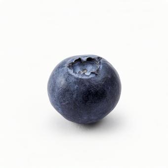 ブルーベリー1粒 ブルーベリー1粒の写真