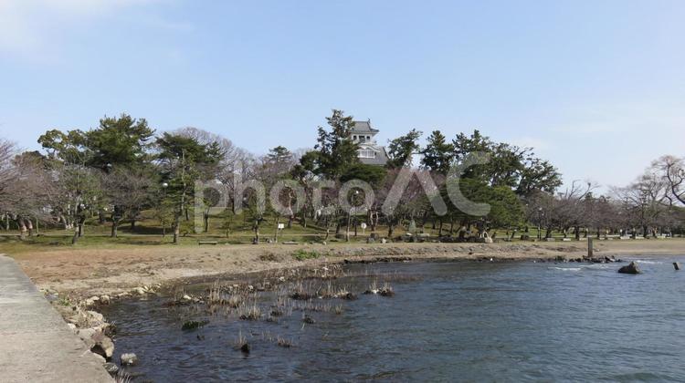 長浜城　模擬天守 長浜城,豊臣秀吉,羽柴秀吉の写真素材