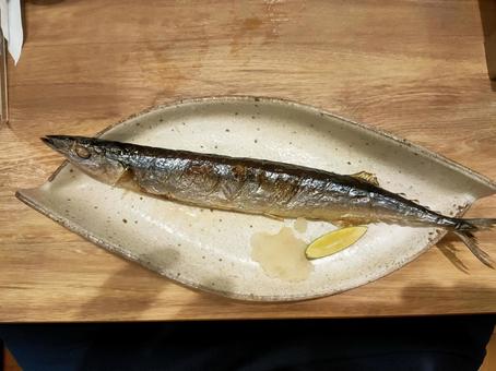 さんま さんま さんま,サンマ,お家の写真素材