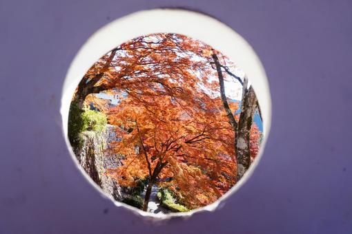 城から眺める紅葉 紅葉,映え,晩秋の写真素材