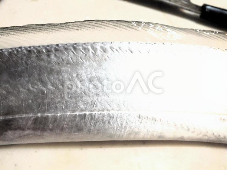 キラキラと美しく輝く太刀魚の体 タチウオ,美しい,きれいなの写真素材
