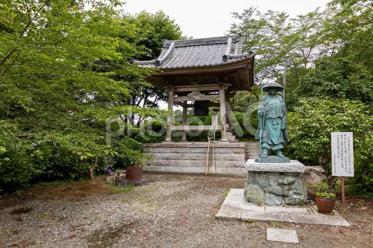 館山日運寺の大聖人銅像と鐘とあじさい あじさい,6月,梅雨の写真素材