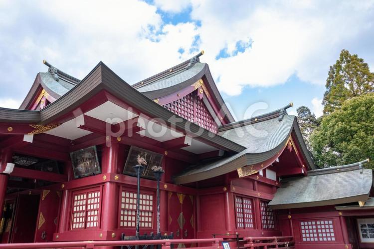 笠間稲荷神社拝殿 笠間稲荷神社,笠間,茨城の写真素材