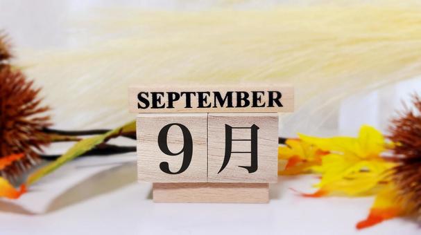 9月、秋のイメージ背景 9月,9,月の写真素材