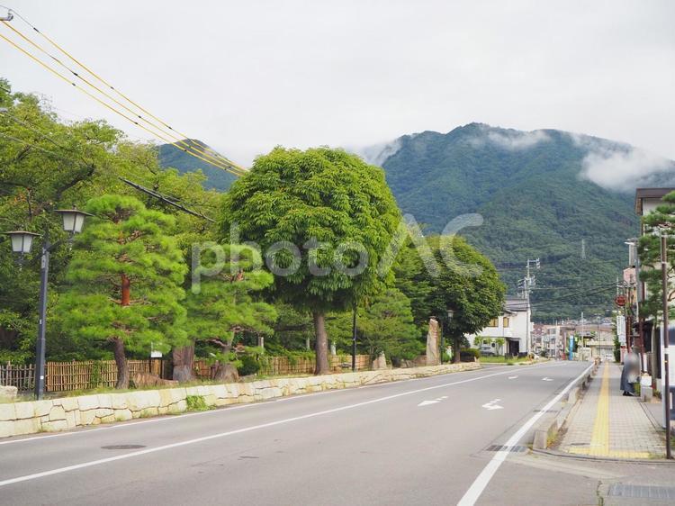 二の丸通り（長野県・上田市） 二の丸通り,上田城周辺,城下町の写真素材