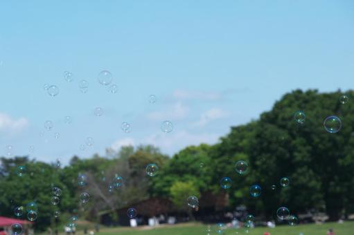 シャボン玉飛んだ シャボン玉飛んだ シャボン玉,飛ぶ,遊ぶの写真素材