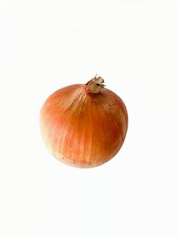 玉ねぎ 玉ねぎ 野菜,食材,切り抜きの写真素材