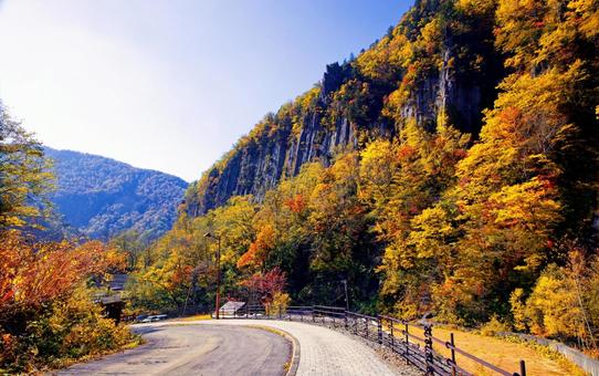 天人峡の紅葉 天人峡の紅葉 天人峡,天人峡温泉,北海道の写真素材