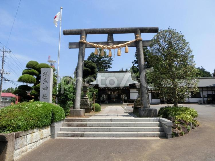 埴生神社の景色-1 埴生神社,はぶ,千葉県成田市郷部の写真素材