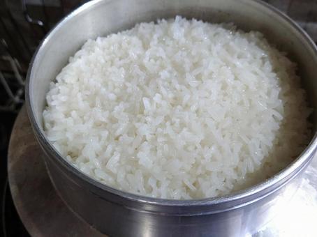 新米　釜で炊いたごはん 新米,白米,ごはんの写真素材