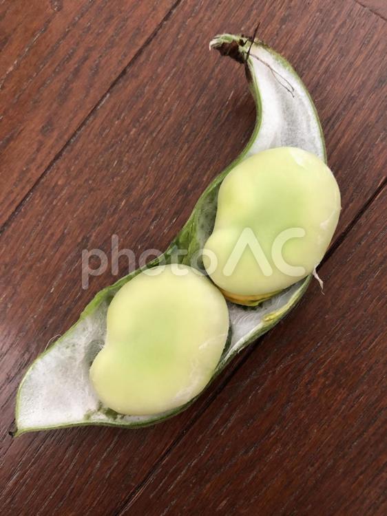 採れたてそら豆 何人もありません,栽培+する,フードの写真素材
