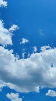 夏空 夏空の写真