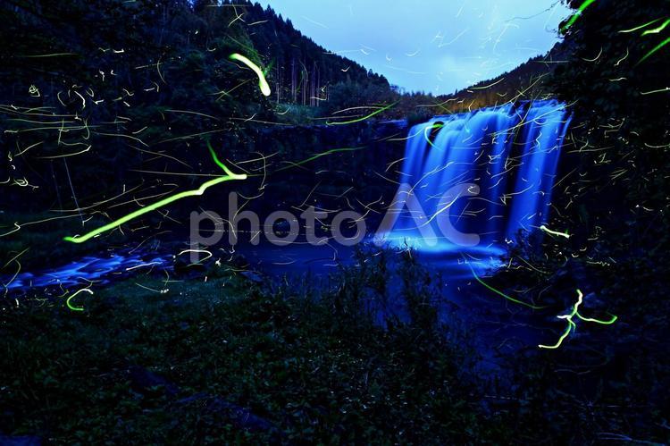 蛍が舞う滝 蛍が舞う滝 蛍,風景,自然の写真素材