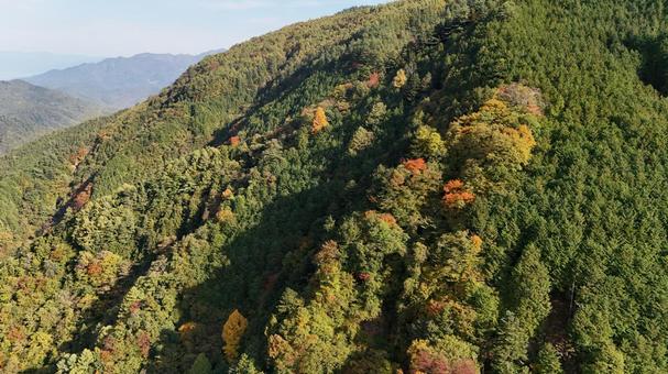 山紅葉016 山,紅葉,山紅葉の写真素材