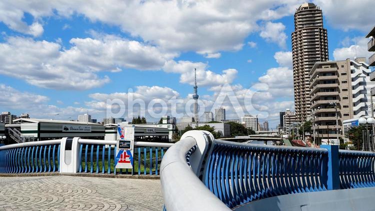 初秋のクローバー橋＆スカイツリー・江東区 初秋,小名木川,クローバー橋の写真素材