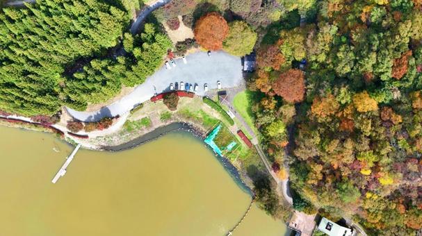 碓氷湖　湖畔の紅葉　空撮 紅葉,山,赤の写真素材