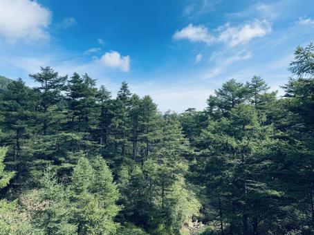 自然と空の写真