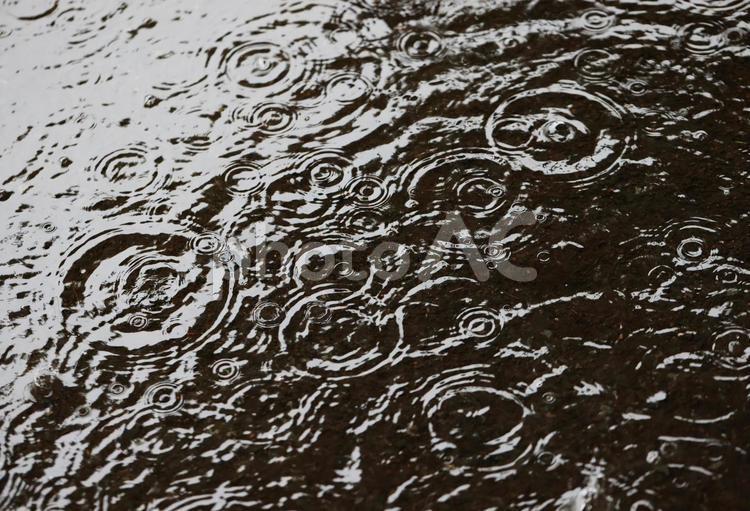 雨　水たまり　梅雨 雨,水たまり,梅雨の写真素材